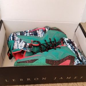 Labron James Teal and Coral Sneakers